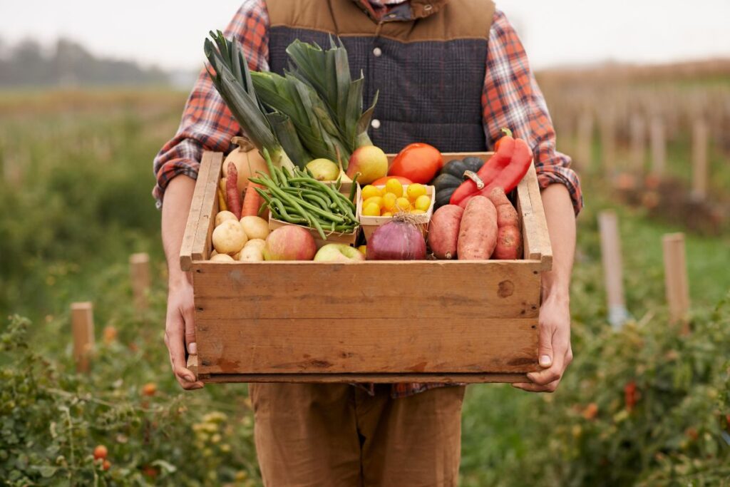 The Rise of Farm-to-Table: Local Sourcing Global Menus | The Enterprise Globe